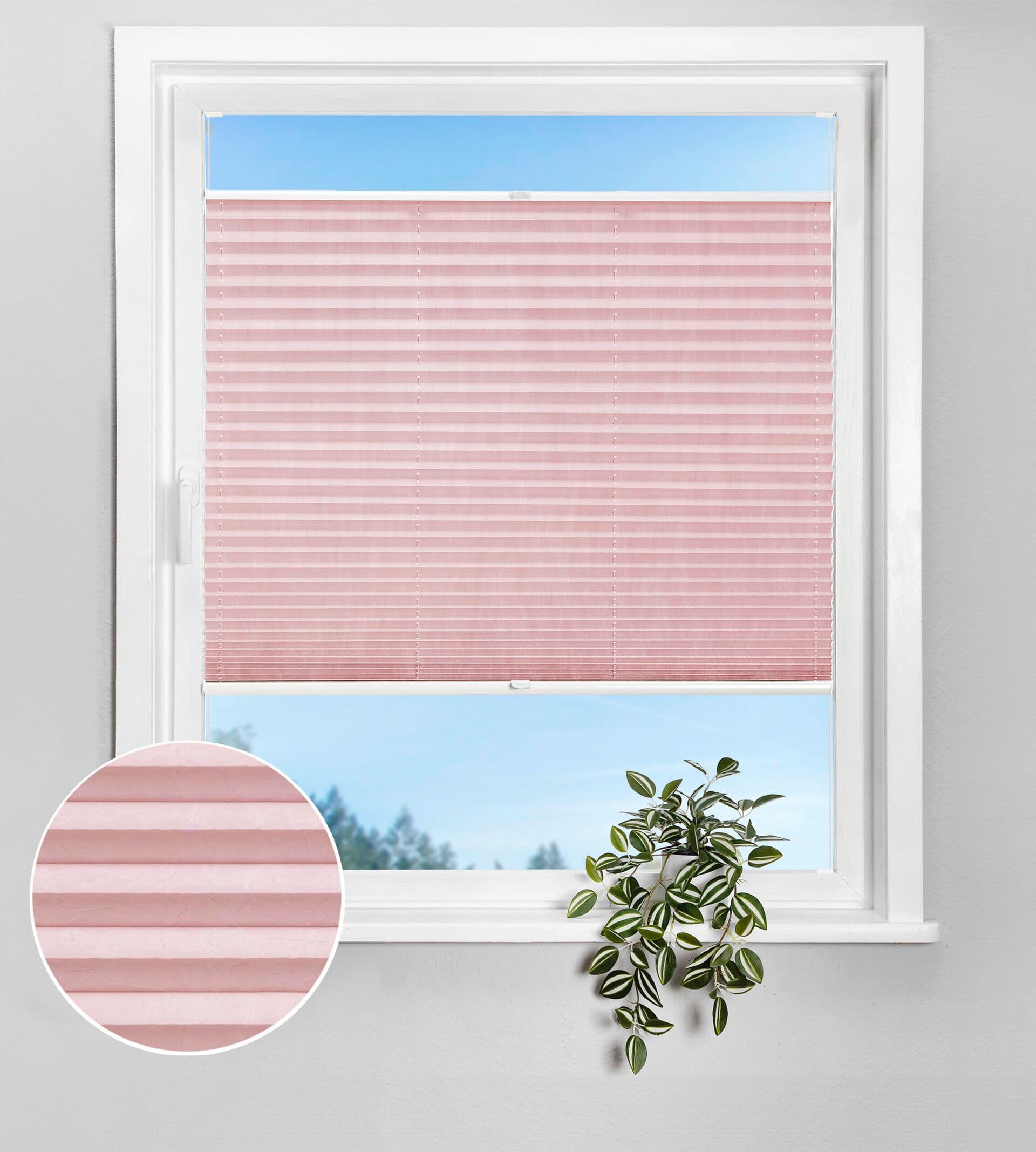 Plissee Evie